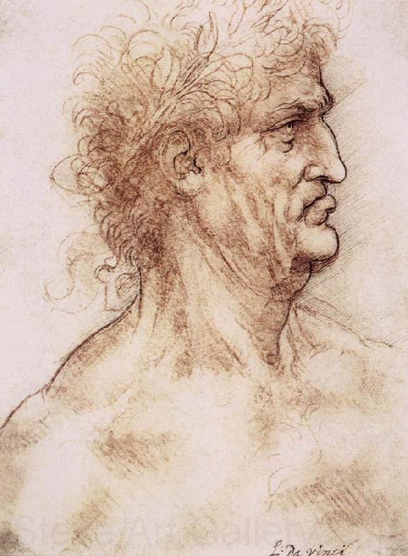 LEONARDO da Vinci Profile one with book leaves gekroten of old man